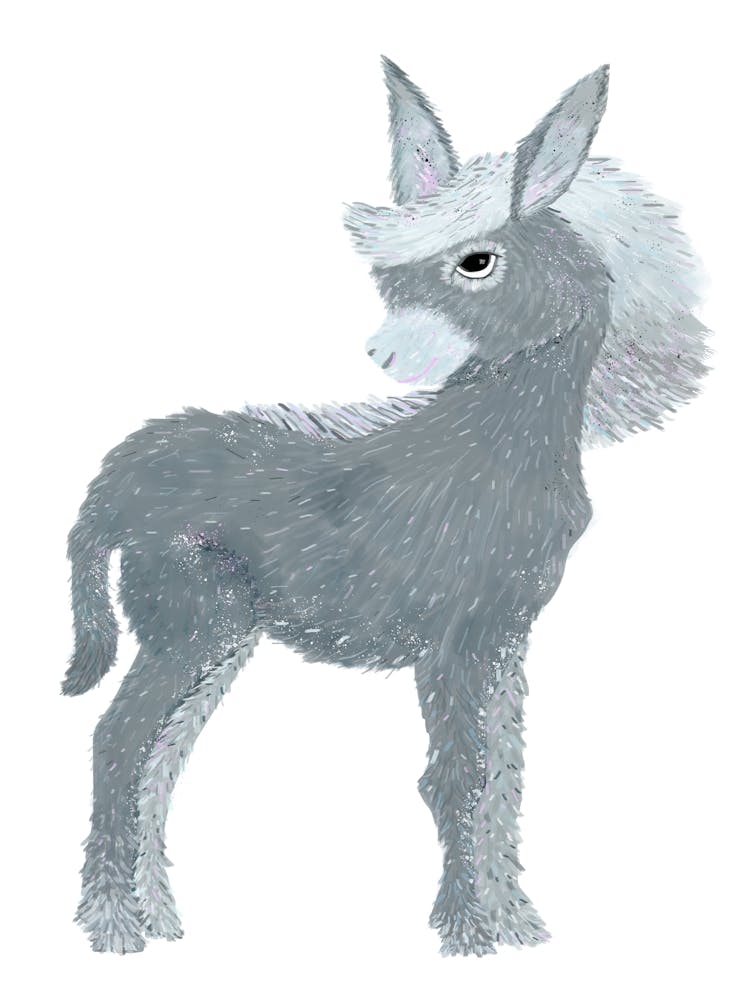Cute Donkey