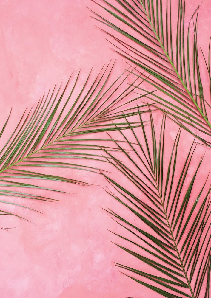 Pink Plants