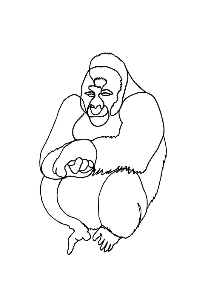 Gorilla