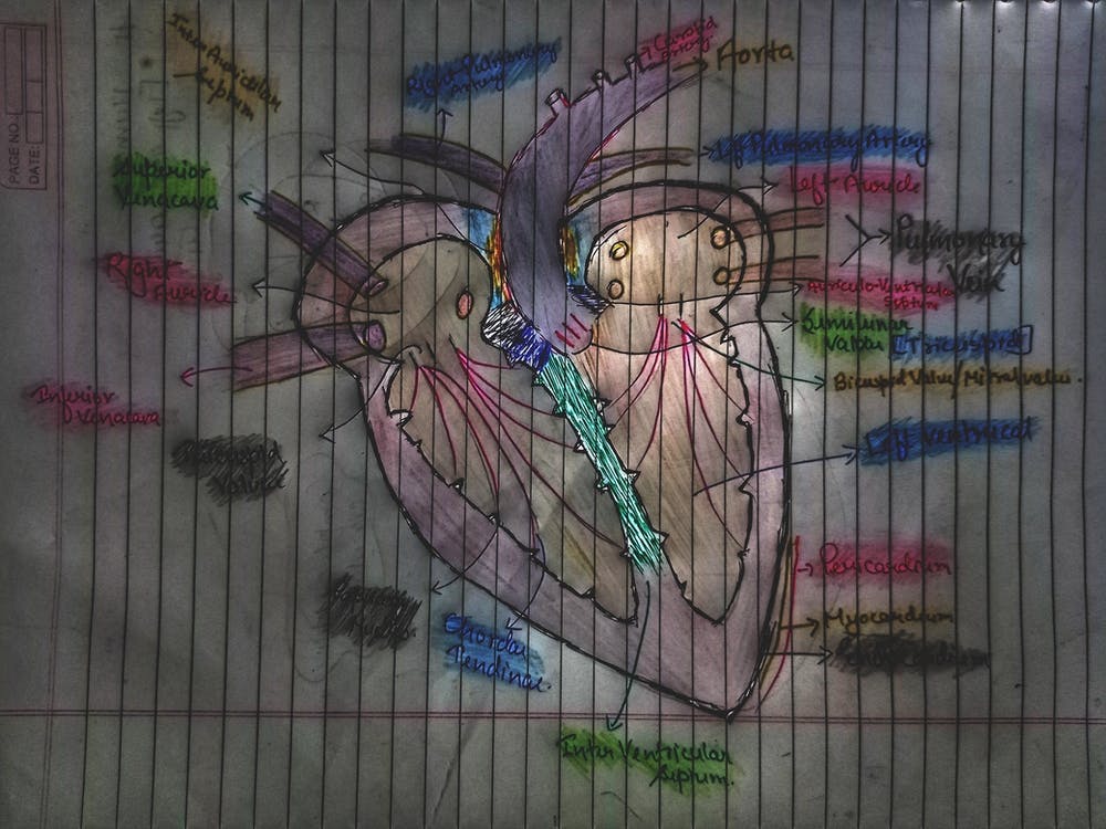 Img 20231205 223745 665 01