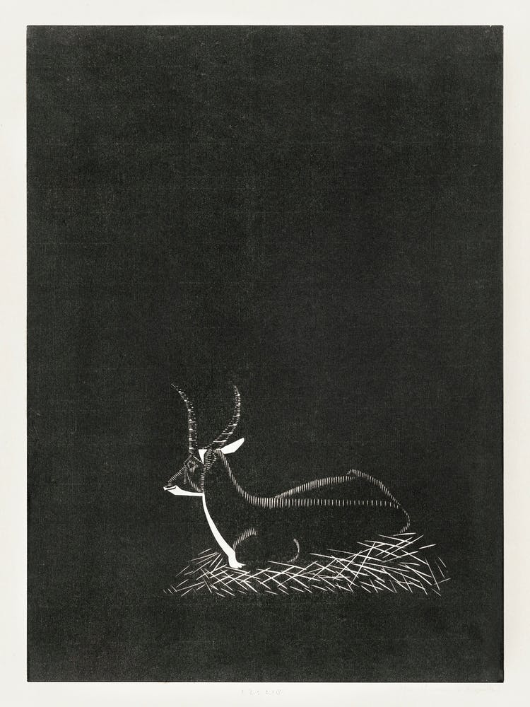 Waterbuck (Waterbok) (1921), Samuel Jessurun