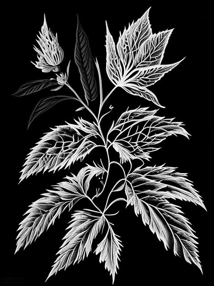 Vervain Leaf Linocut