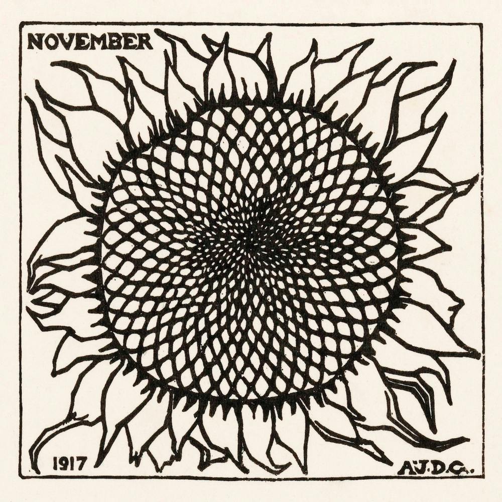 November Sunflower, Julie De Graag