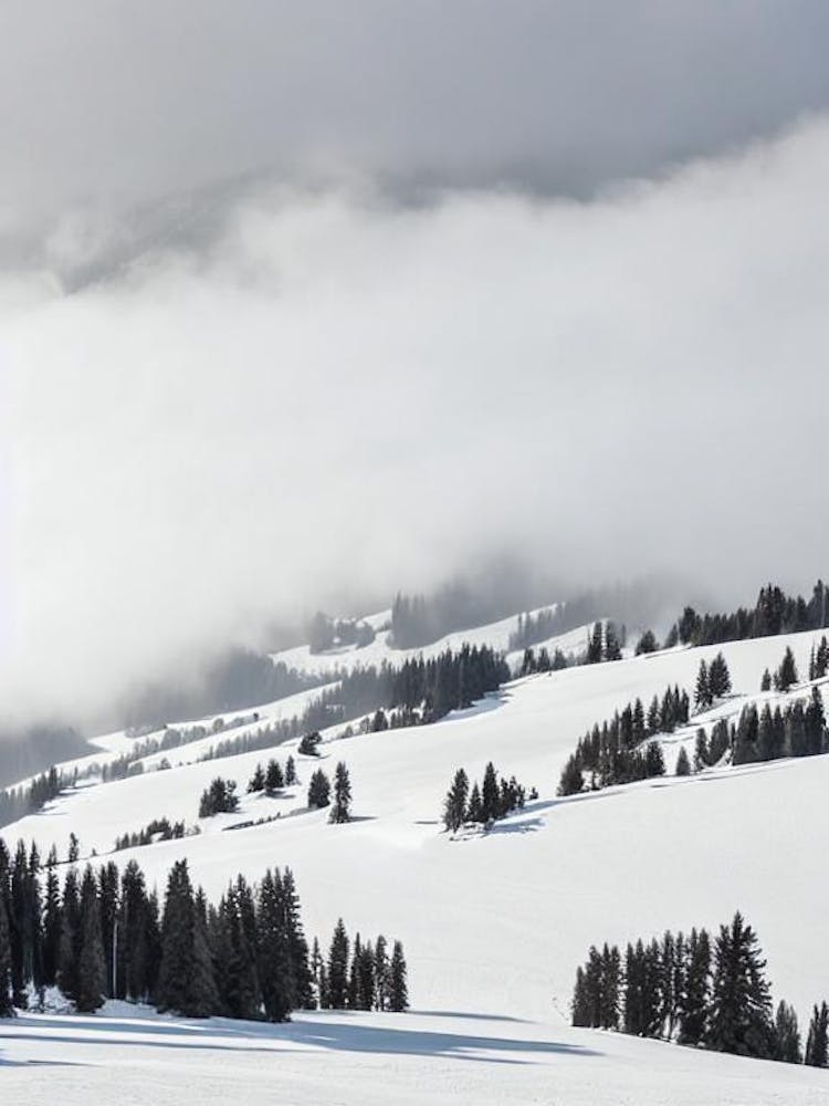 Les Deux Alpes, France Black And White Skiing Poster
