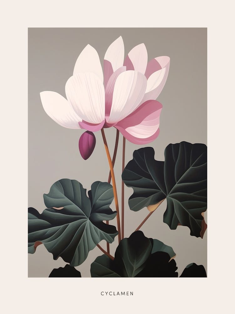 Illustration de fleur Cyclamen 3 Affiche