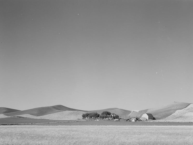 Farmstead And Wheatland, Whitman County, Washington By Russell Lee