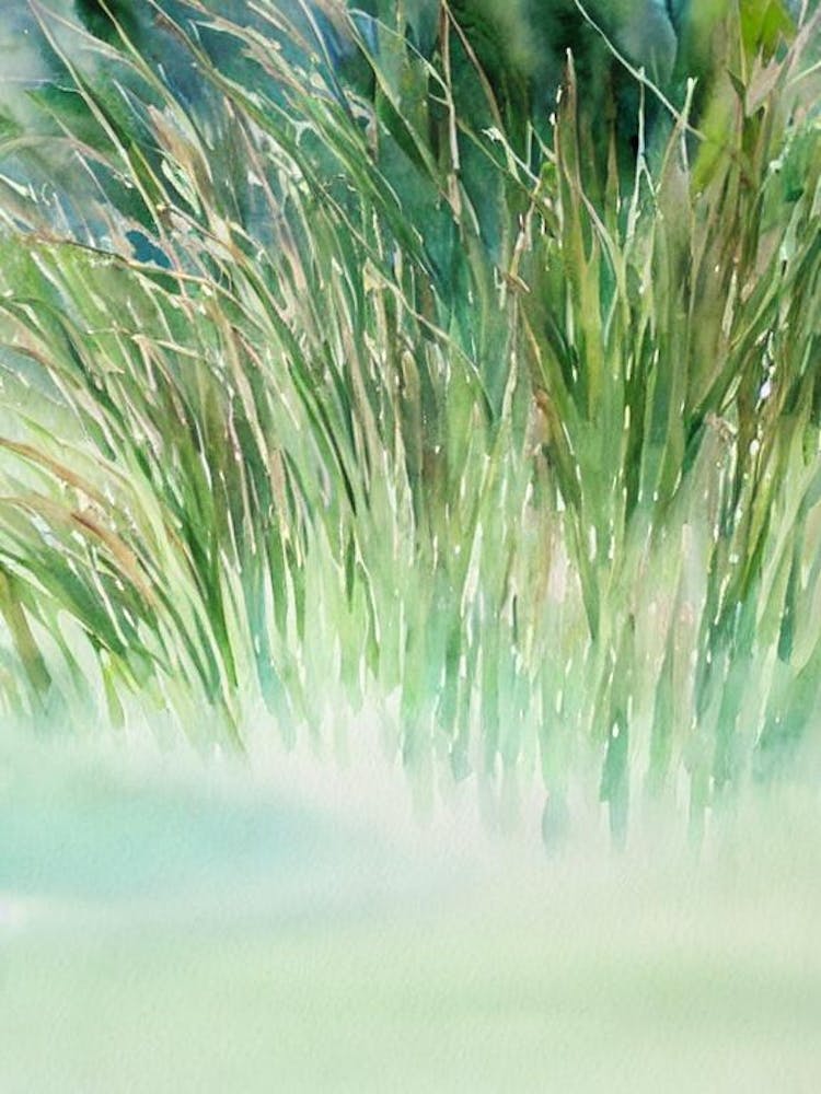 Sea Grasses Storybook Watercolour
