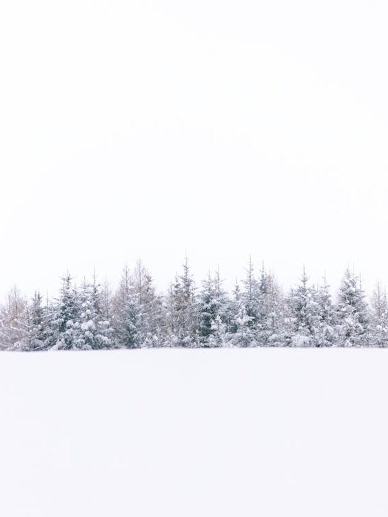 Minimalistic Snowy Landscape