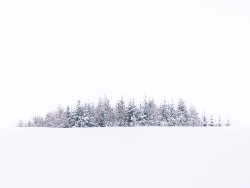 Minimalistic Snowy Landscape