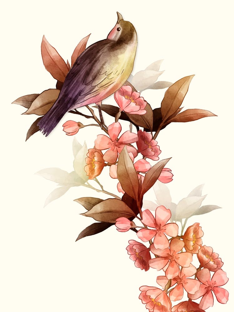 Bird On An Orchid Branch Watercolor