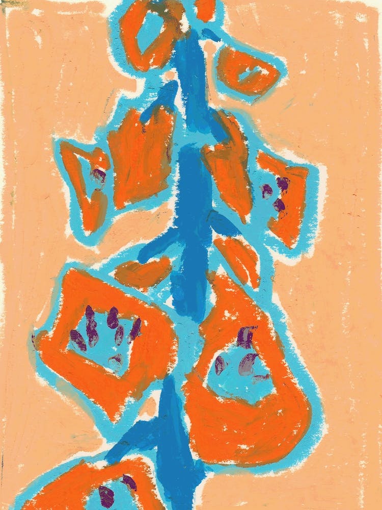 Orange Flower