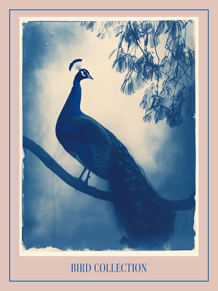 Pfau Im Baum Cyanotypie-inspiriert 4 Poster