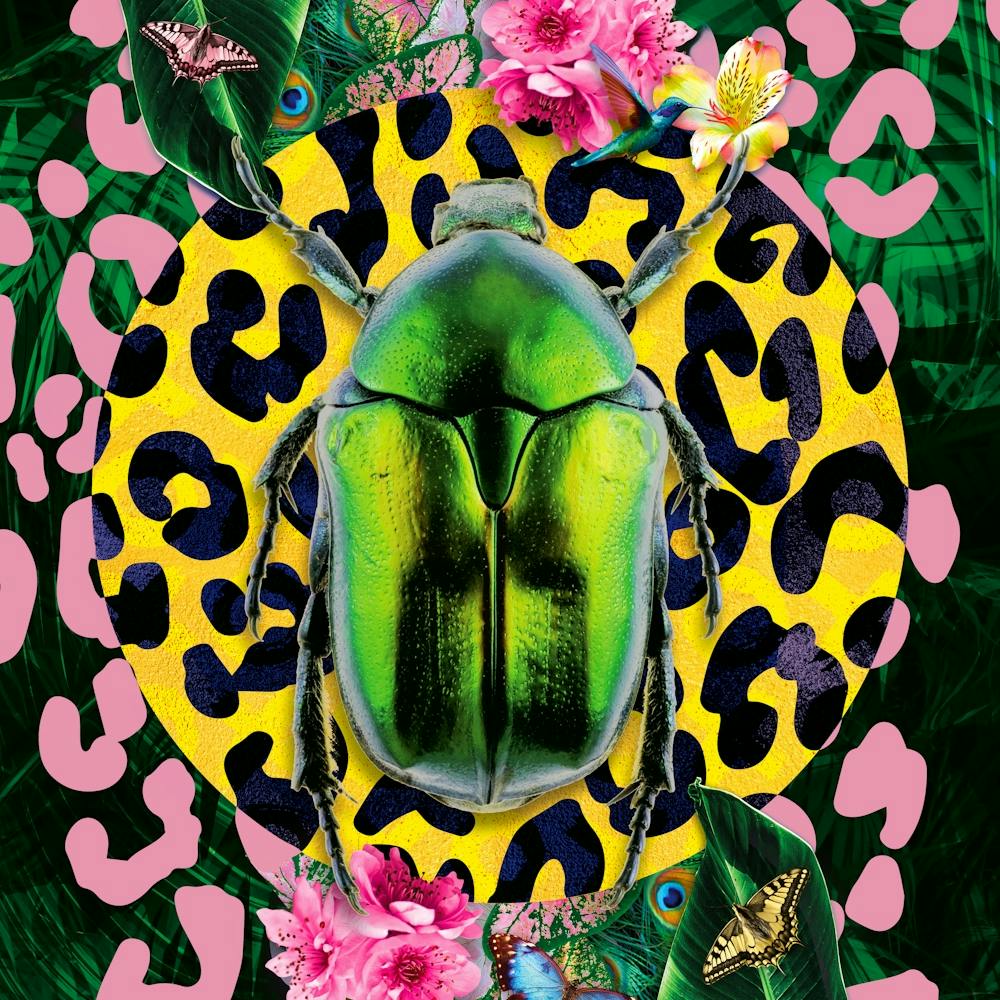 Insect Scarab Beetle Leopard Print Pink 1