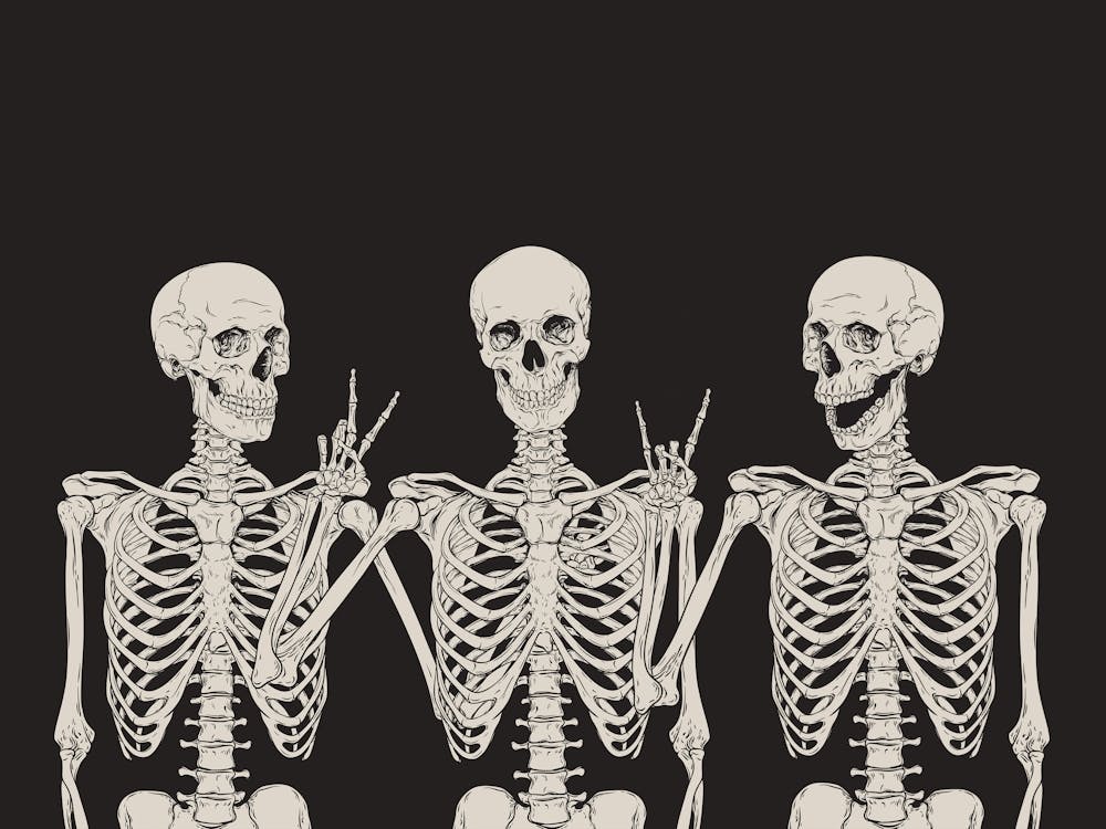 Halloween Skeleton Trip