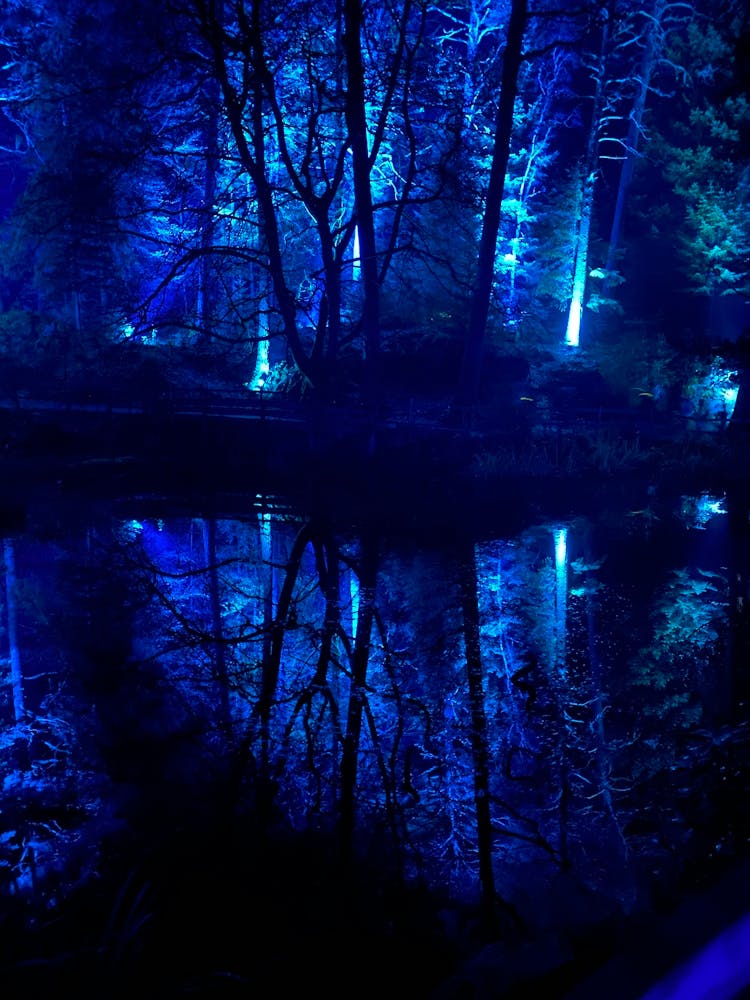 Blue Evenings