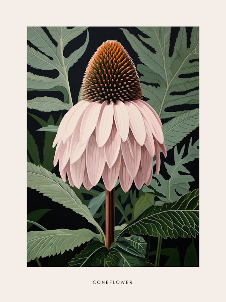 Flower Illustration Coneflower 4 Poster