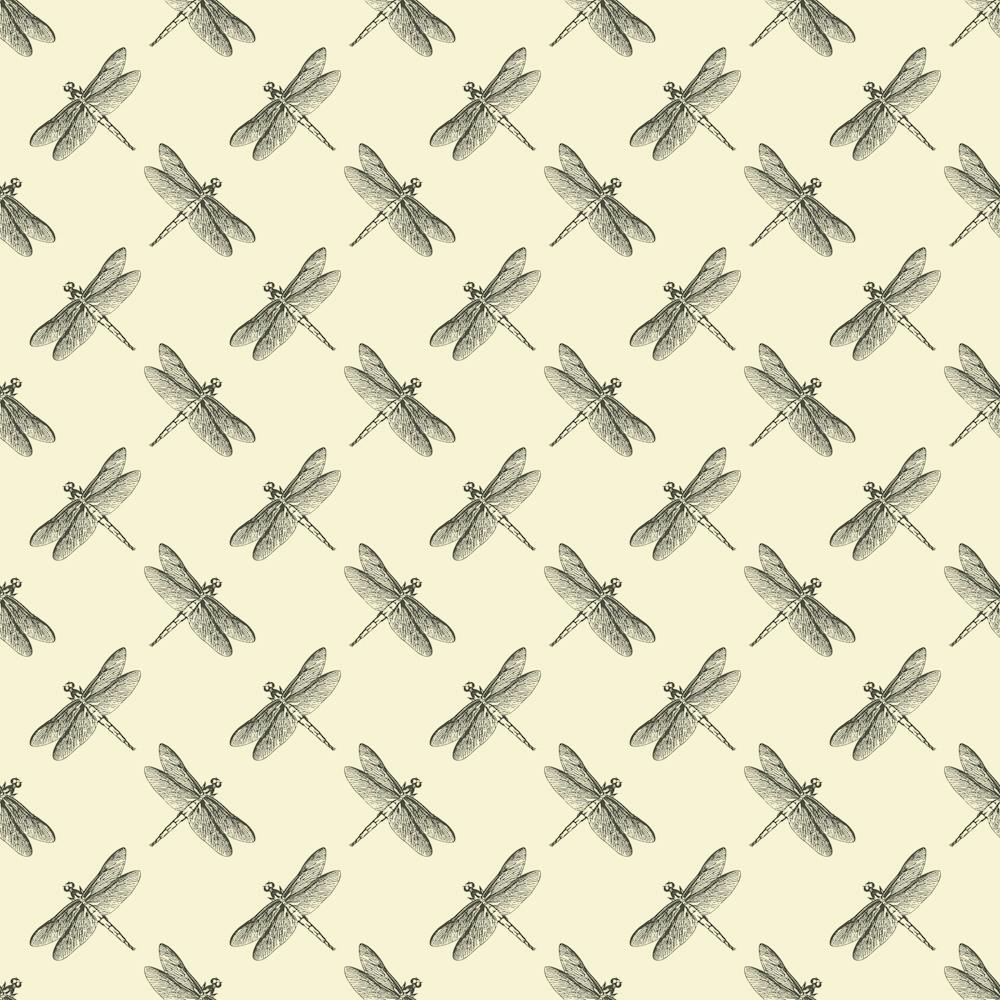 Dragonflies