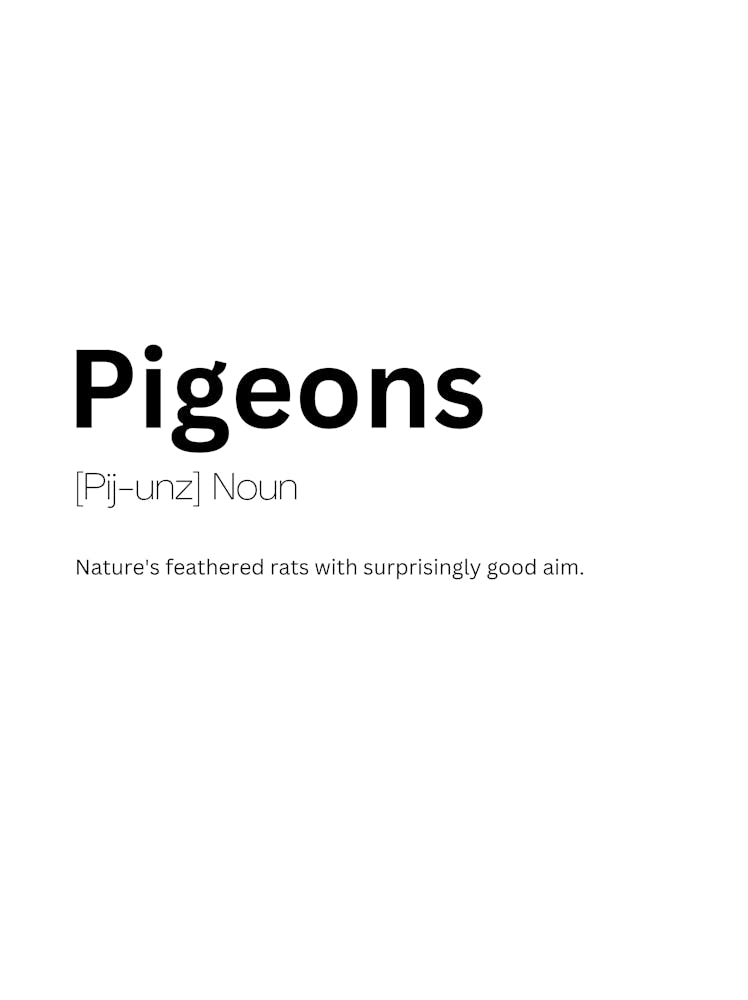Pigeons Definition Meaning 1
