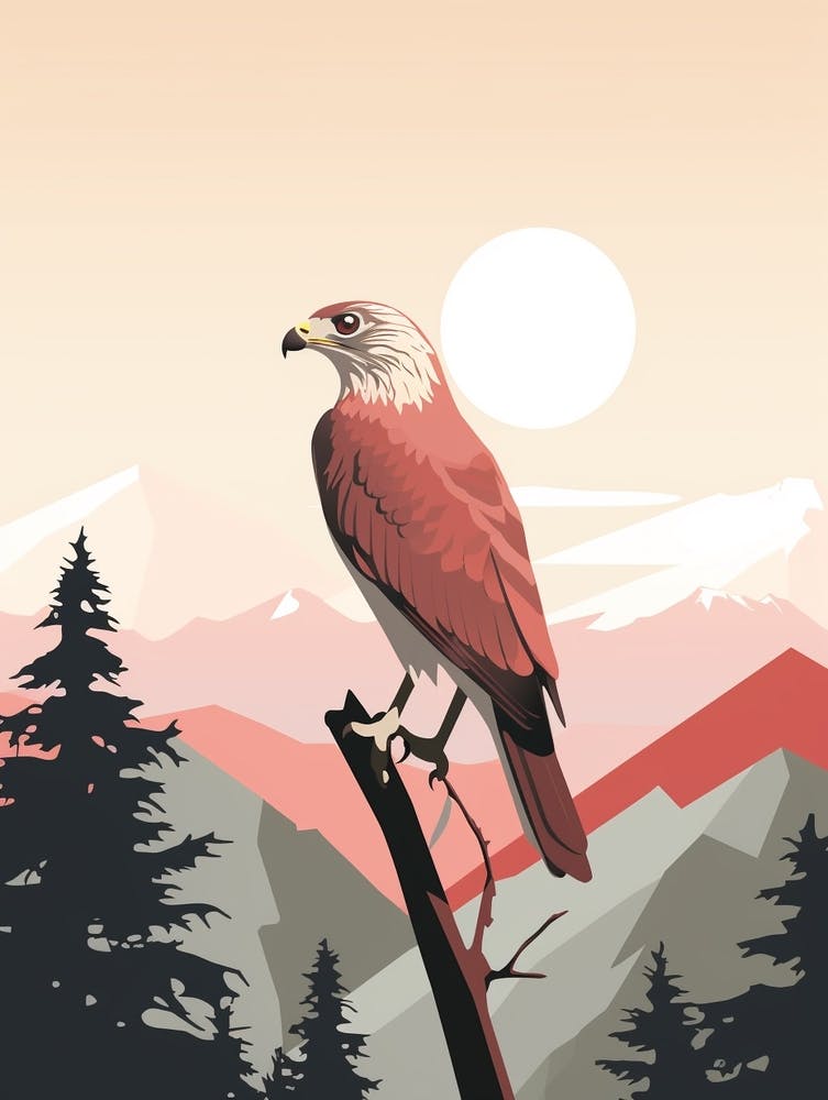 Minimalist Red Tailed Hawk 2 Illustration