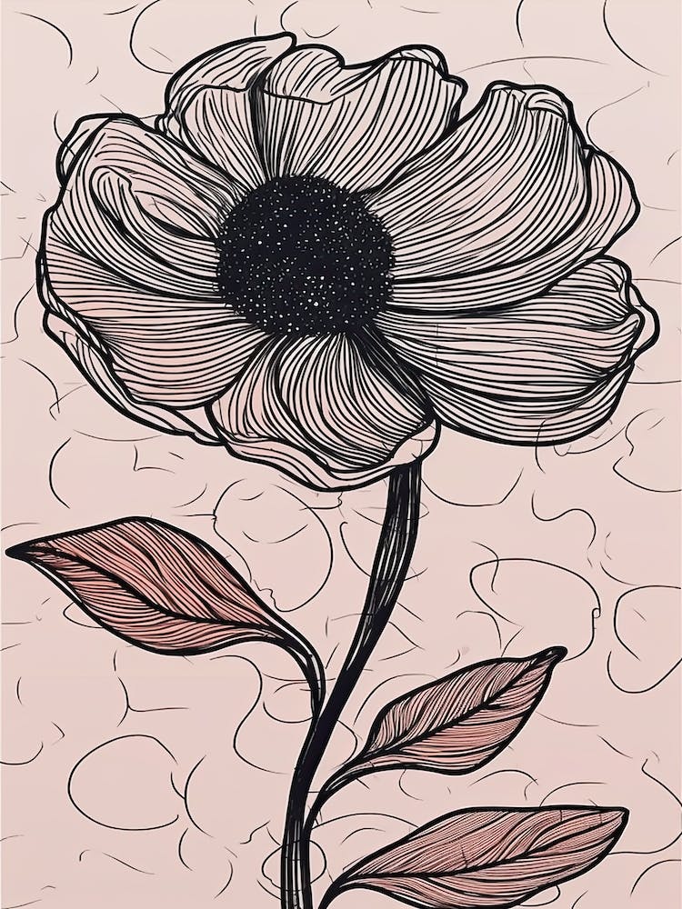Line Art Sunflower Flowers Illustration Neutral 20