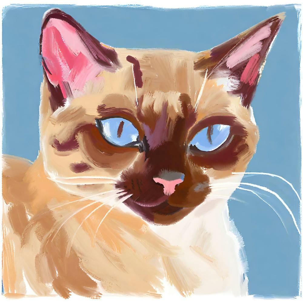 Siamese Cat 02 1