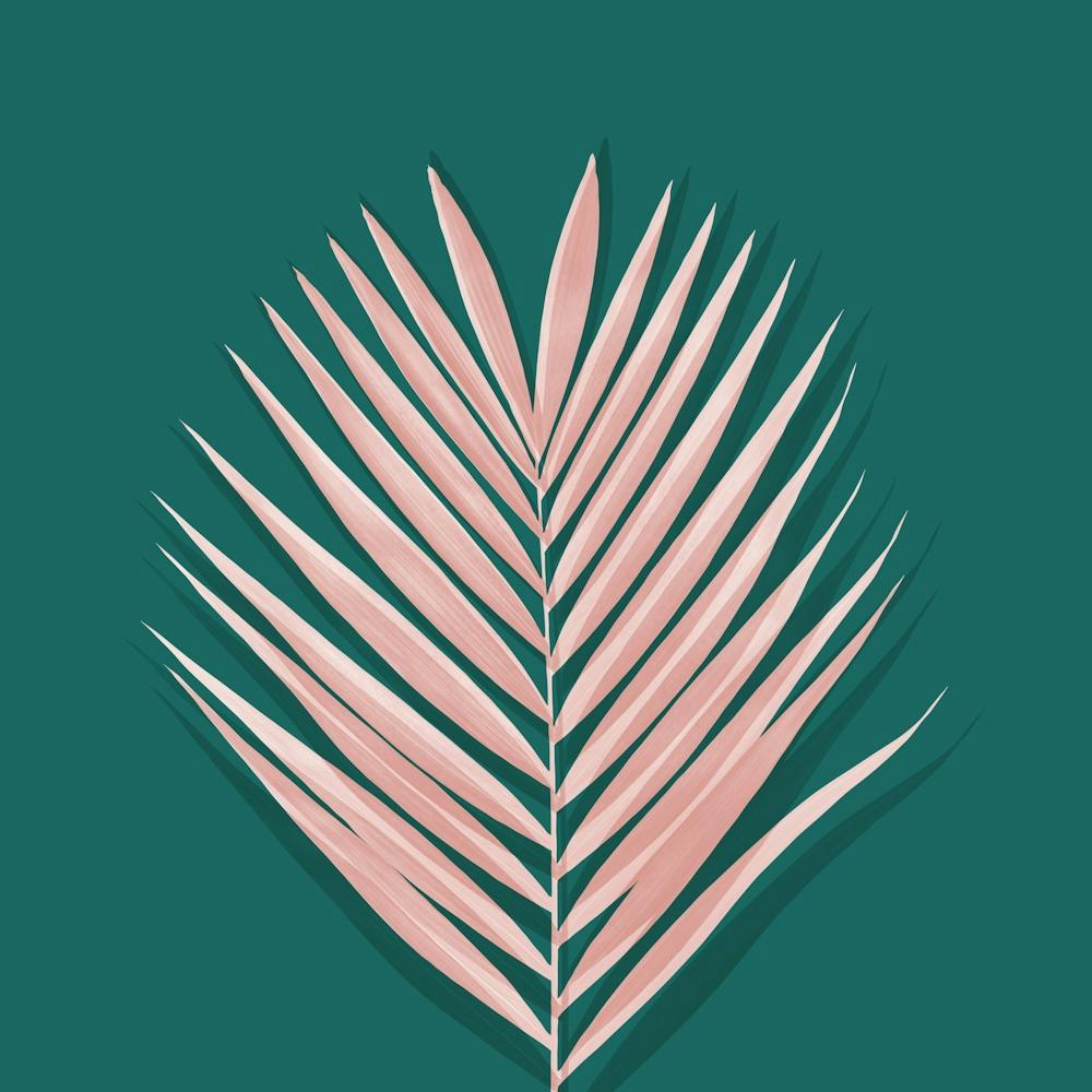 Garden leaf 1