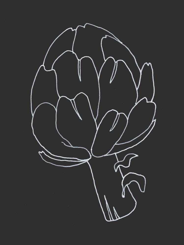 Artichoke