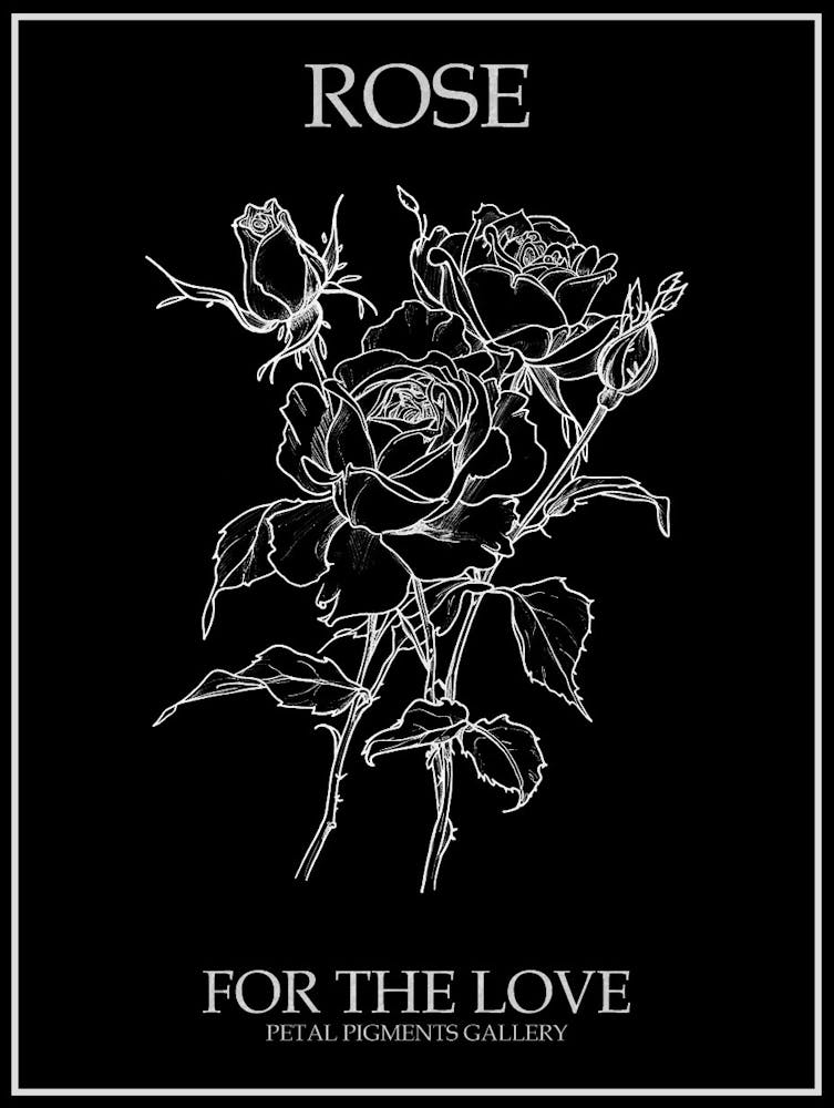 Black And White Rose Line Drawing 2 Poster Inverted