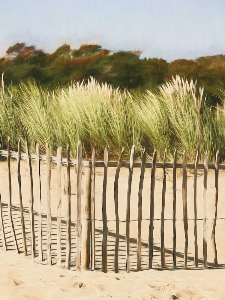 Beach Fence Patterns