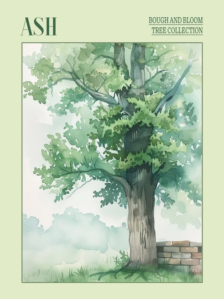 Ash Tree Atmospheric Watercolour Painting 2 Poster
