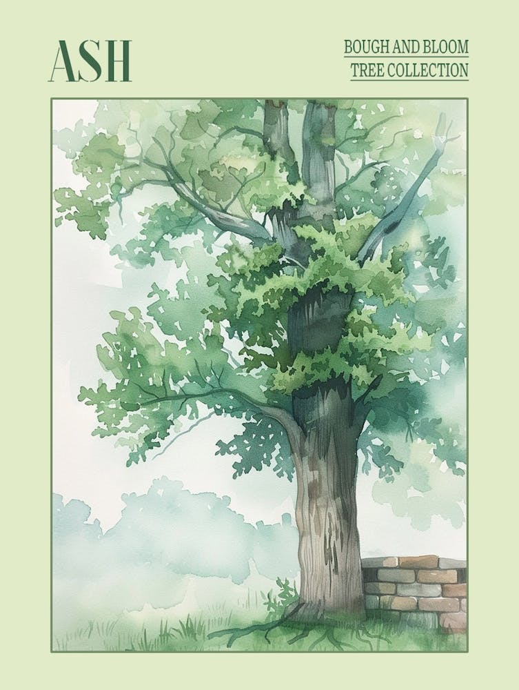 Ash Tree Atmospheric Watercolour Painting 2 Poster