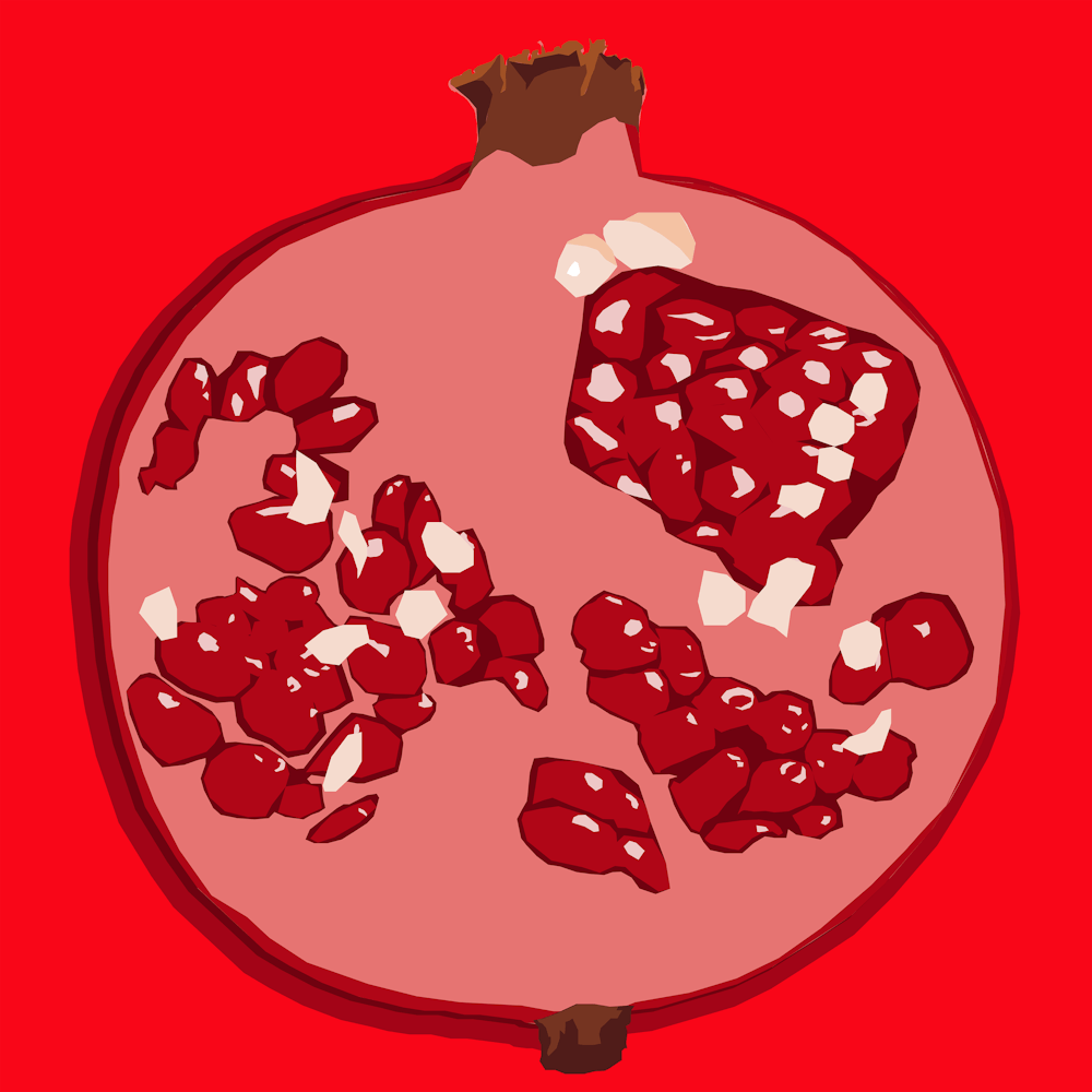 Pop Art Pomegranate