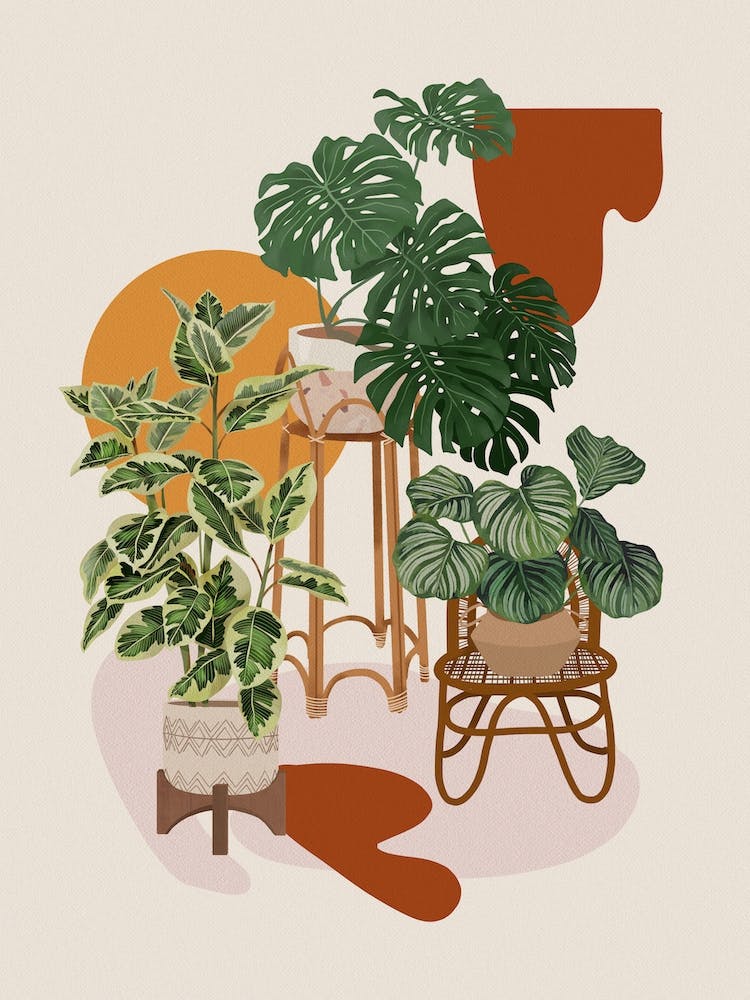 Modern Boho Plants 2