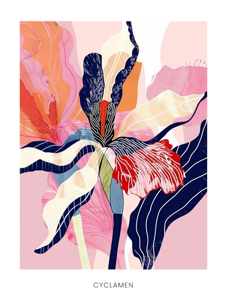 Colourful Flower Illustration Poster Cyclamen 1