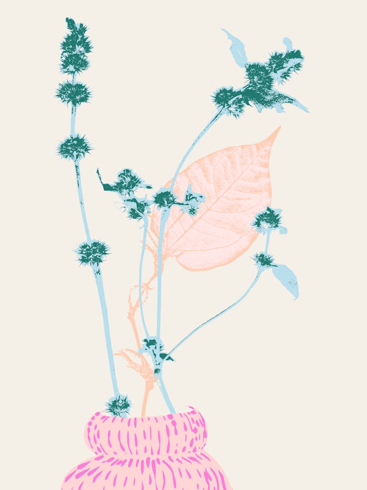 Plant based happyness Herb 1 still life