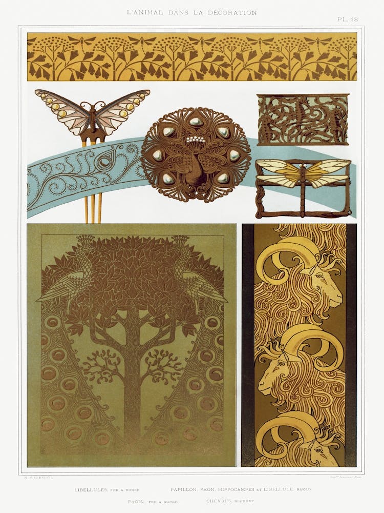 Libellen; Schmetterling, Pfau, Seepferdchen aus The Animal In The Decoration (1897), Maurice Pillard Verneuil