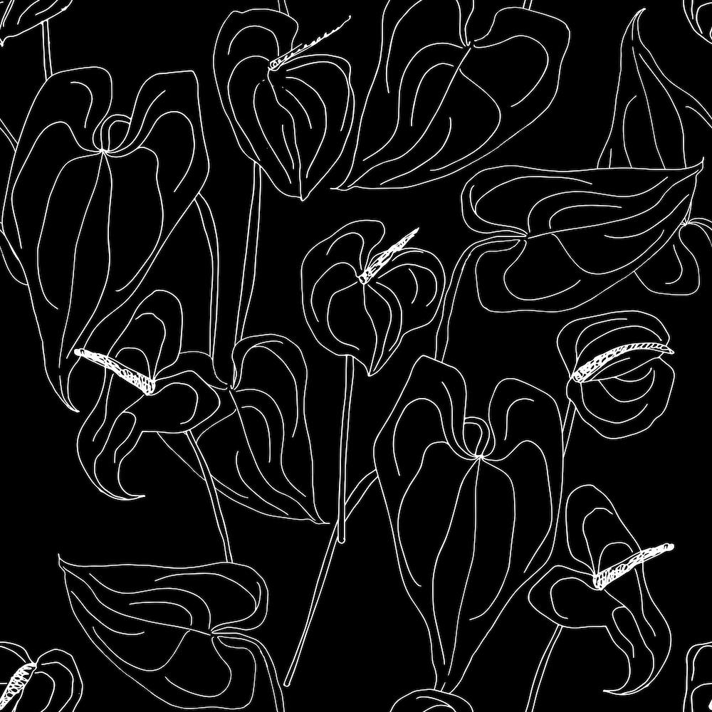 Black And White Linear Anthurium