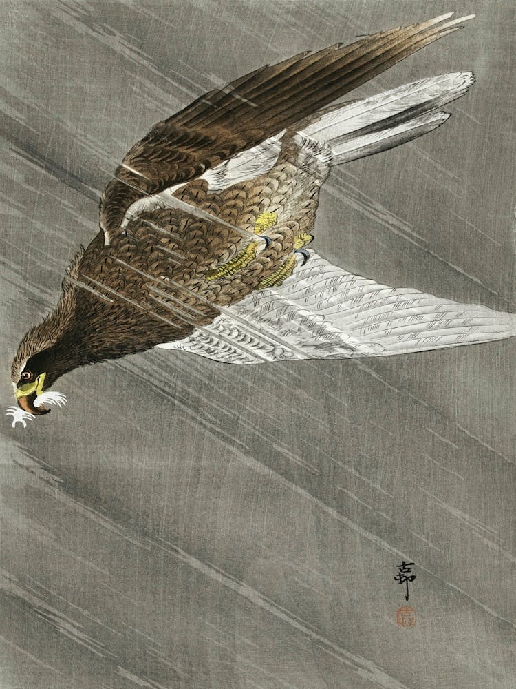 Downward Flying Eagle (1900 1930), Ohara Koson