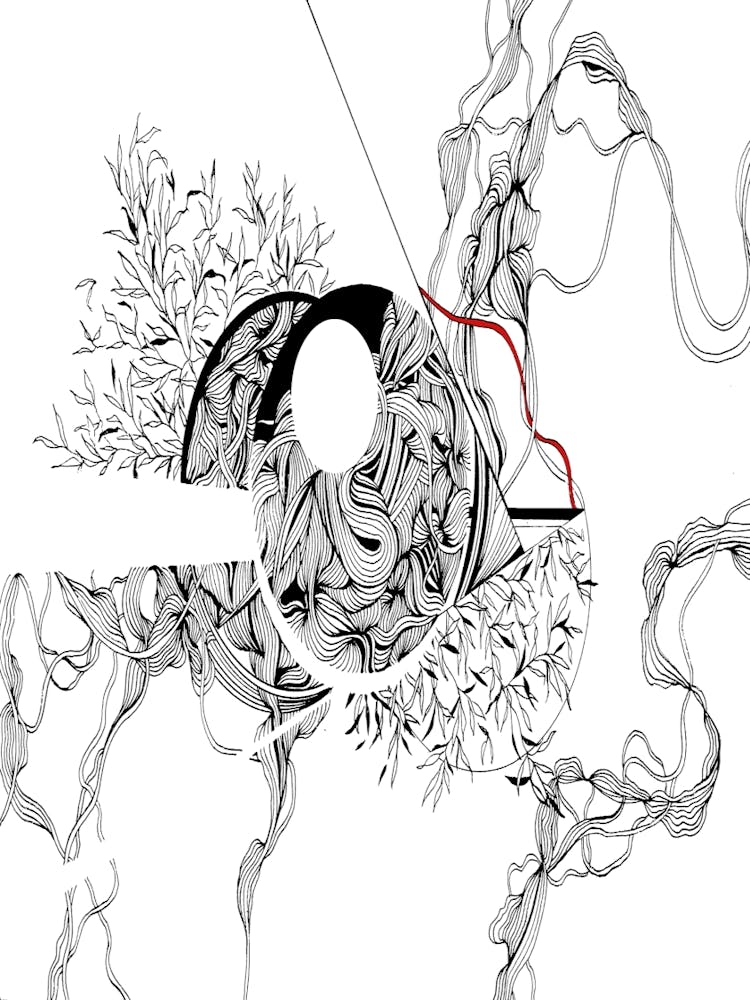 Horse And Thorns