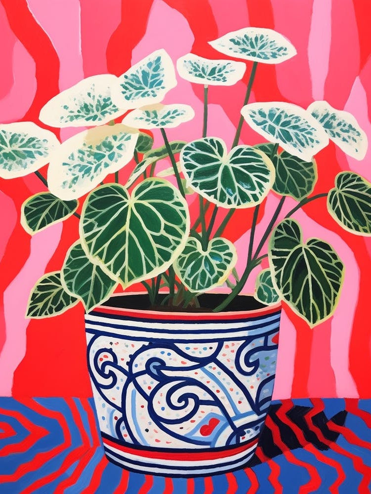 Pink And Red Plant Illustration Fittonia White Anne 3