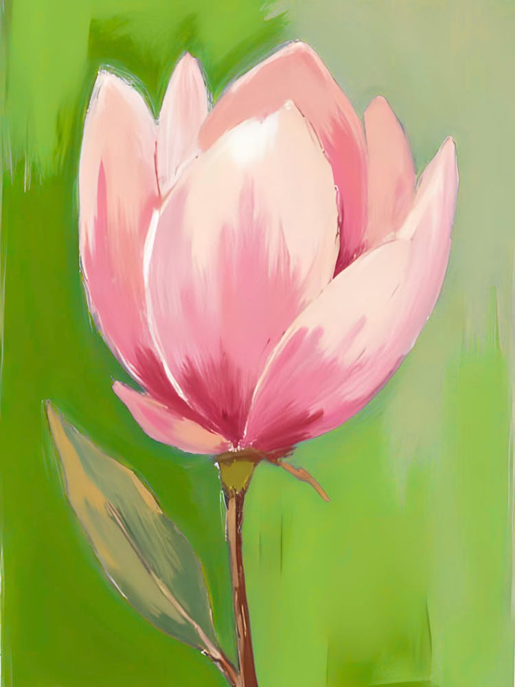 Magnolia 20