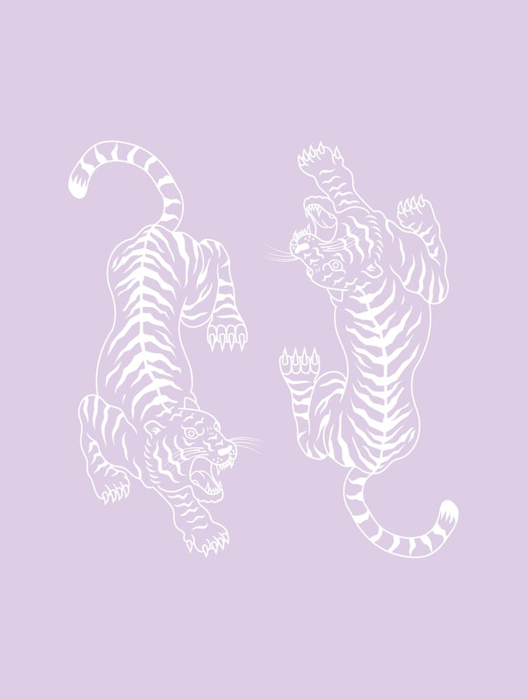 Lilac Tigers