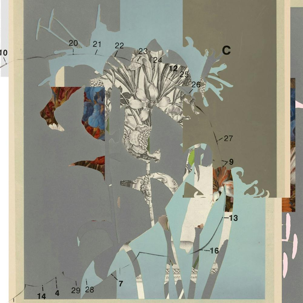 The First Plant · D