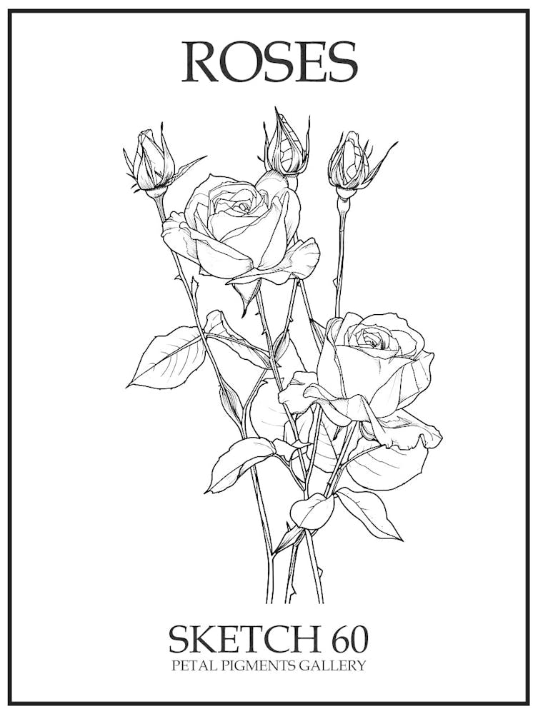 Roses Sketch 60 Poster