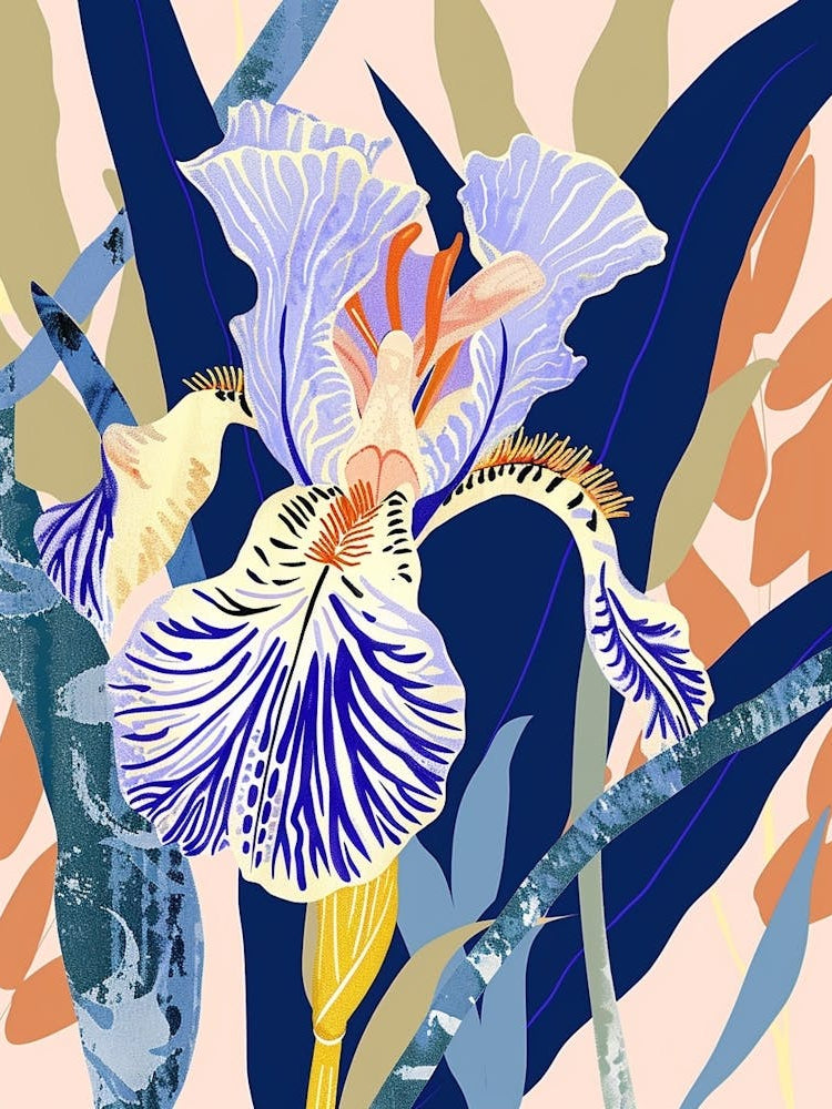 Colourful Flower Illustration Iris 3