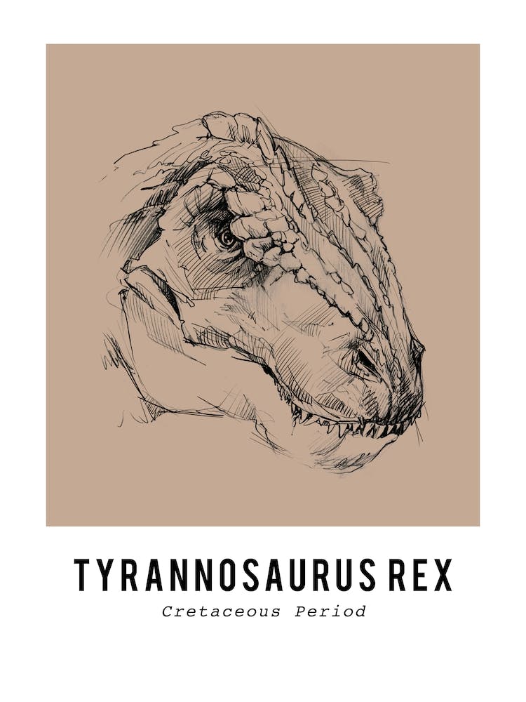 T Rex Drawing, Dinosaur Boys Room Decor