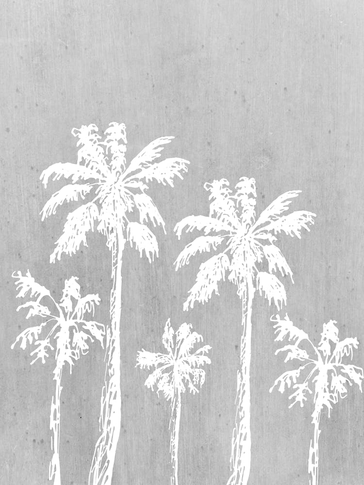 Palm Trees 4