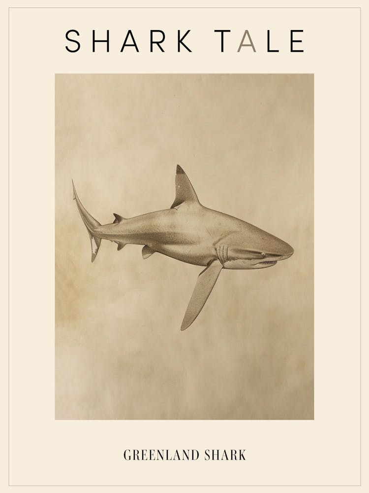 Greenland Shark Vintage Illustration 4 Poster