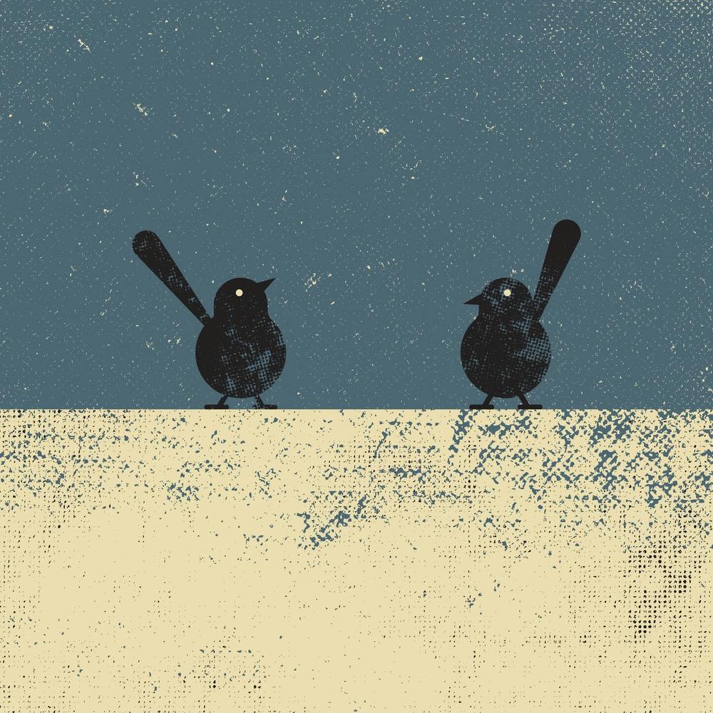 Birds
