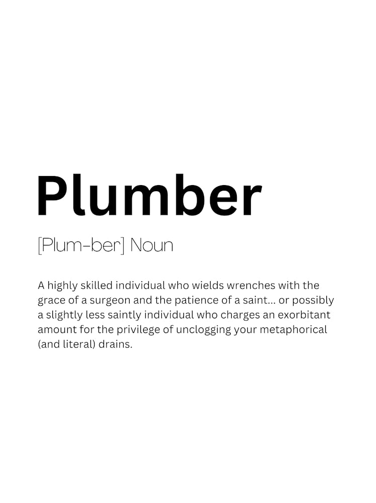 Plumber Definition Meaning